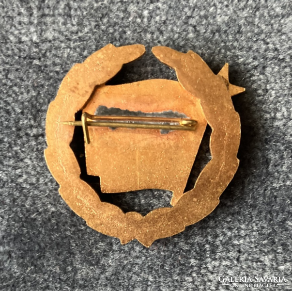 Early gold wreath small badge