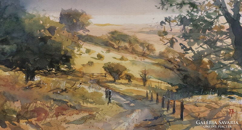 Tibor Bálinth watching the horizon (watercolor 32.5cm x 18cm paper-300 grams). Balton highland landscape