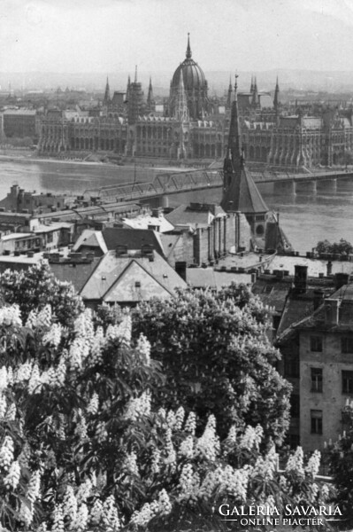 Bp - 097 Budapest walk, parliament with a bridge that no longer exists