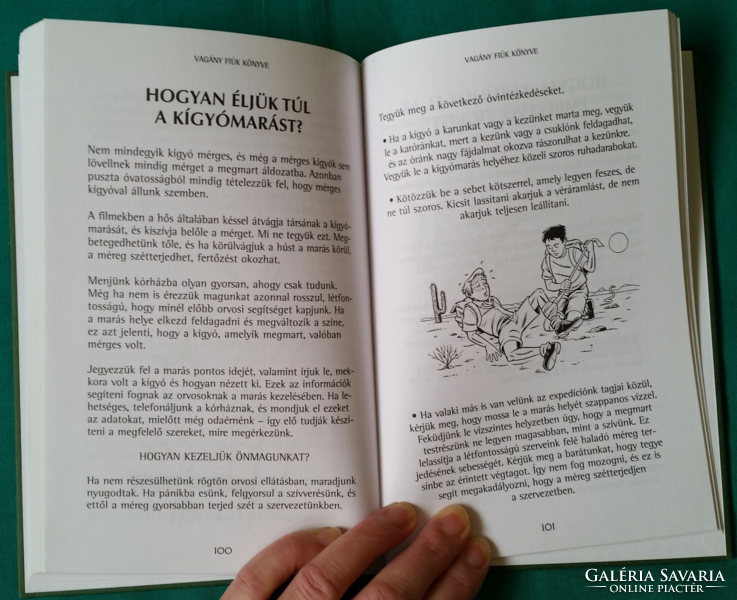 Guy Campbell: Vagány fiúk könyve - Gyermek- és ifjúsági irodalom > Természetjárás