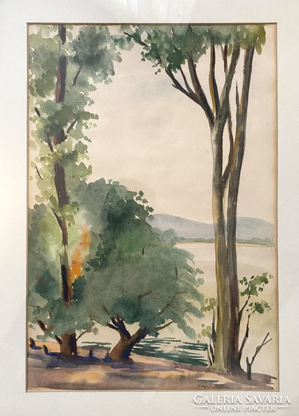 Civil marked Danube landscape Danube bank watercolor painting in original black wooden frame