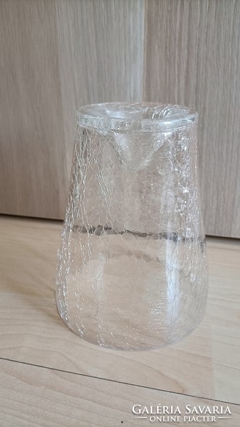 Glass pot for orchids