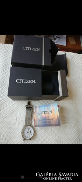 Citizen men's watch with echo driver function