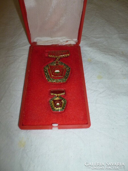 Old excellent socialist brigade badge with miniature in box