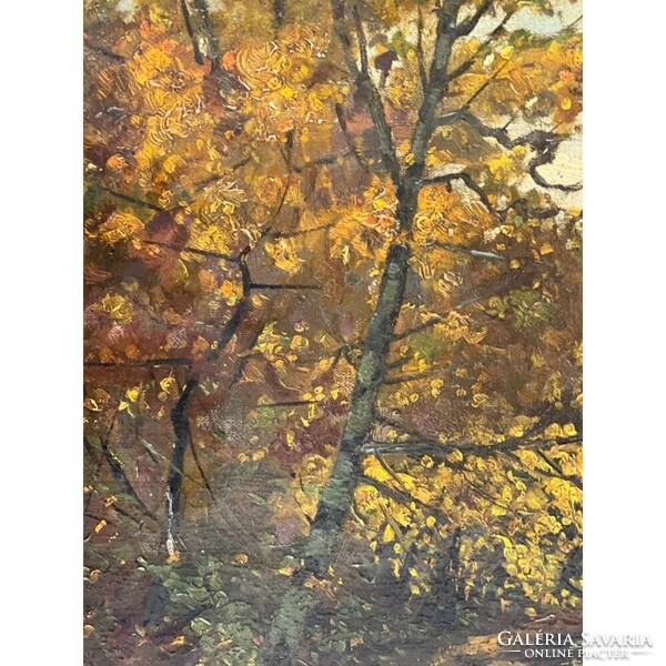 Hans klein: autumn forest with stream f00478
