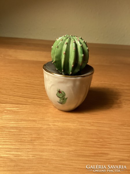 Rare porcelain cactus from Herend.