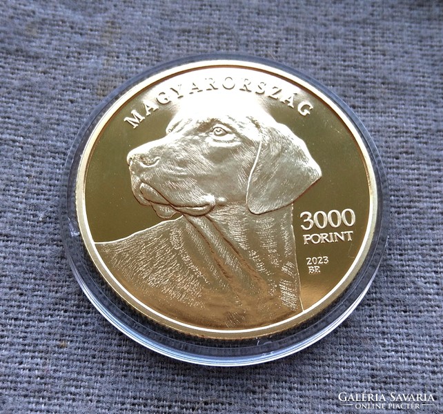 3000 Forint erdélyi kopó  kutya (1db)