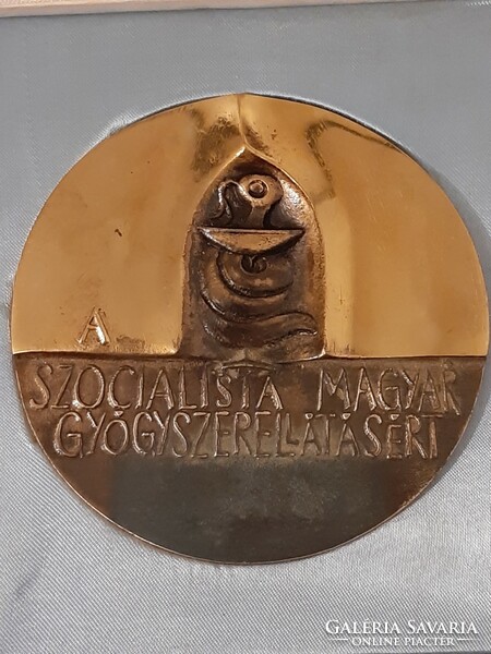 Ligeti Erika: A Szocialista Magyar Gyógyszerellátásért 1975 dobozában