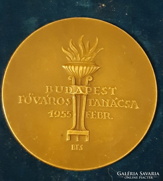 On the 10-year anniversary of the liberation of Budapest, Budapest, Sándor Bolgedfai Farkas (1907-1970) 1955