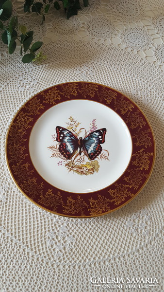 Beautiful butterfly royal falcon porcelain decorative plate 25.5cm.