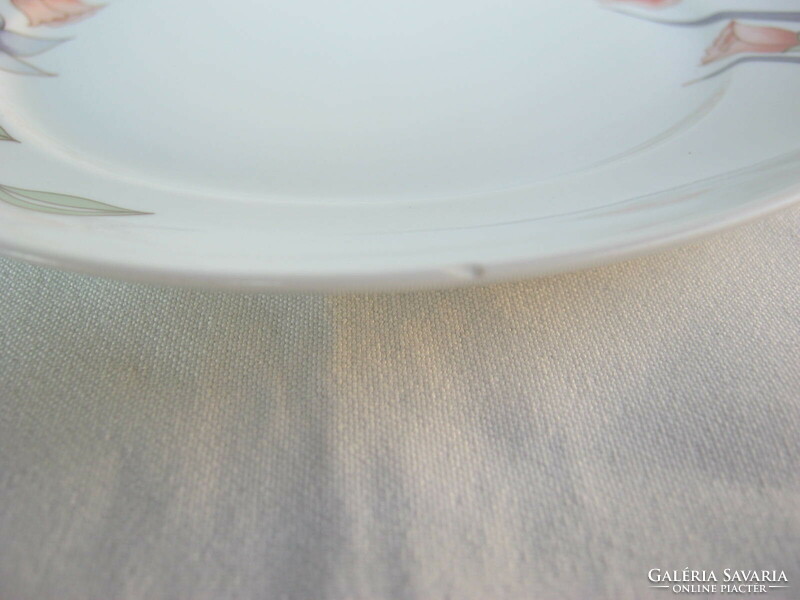 Plain porcelain cake plate 5 pcs
