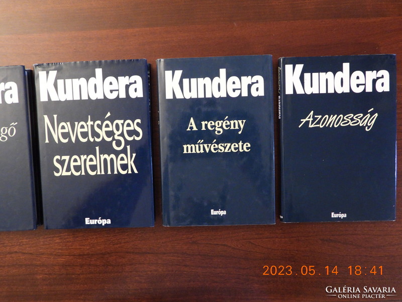 Milan kundera volumes