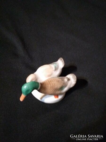 Aquincum Budapest porcelain - wild duck pair