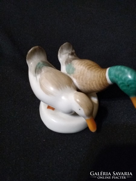 Aquincum Budapest porcelain - wild duck pair