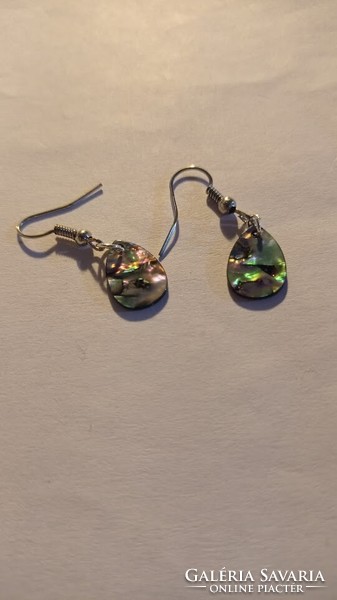 Peacock shell earrings, small paua shell women's jewelry