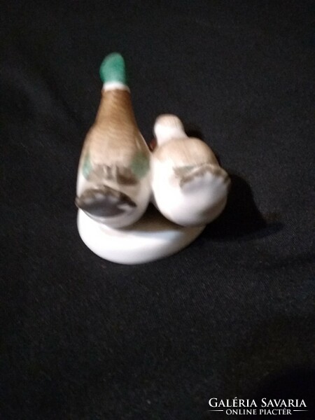 Aquincum Budapest porcelain - wild duck pair