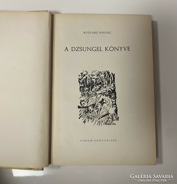 Kipling A dzsungel könyve 1963. teljes kiadás