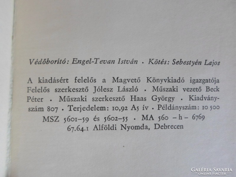 Raffai Sarolta: Egyszál magam (Magvető, 1967; magyar irodalom, regény)