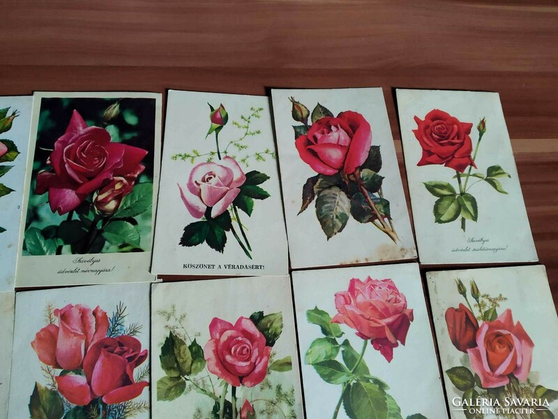 28 pcs, one floral sheet, roses, mainly from the 1950s-1960s