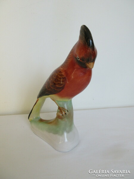 Large, marked Bodrog Kresztúr ceramic parrot.