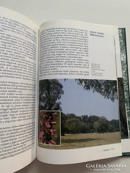 Cseri rezső a nature museums 1989 móra book publishing house, 149 pages