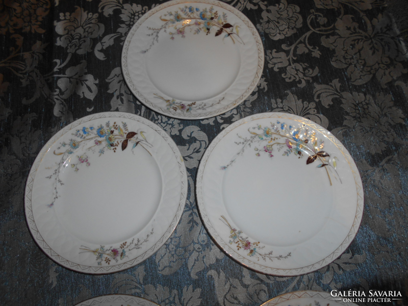 5 db Láng Mihály kézzel festett tányér hagyományos  nagyon szép polgári porcelán   1900-as év eleje-