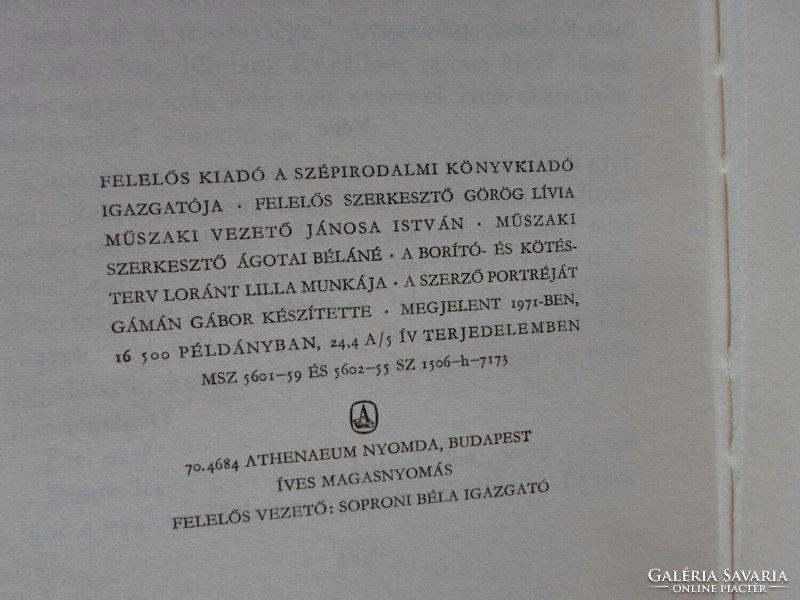 Mesterházi Lajos: Apaszív (Szépirodalmi, 1971; magyar irodalom, regény)