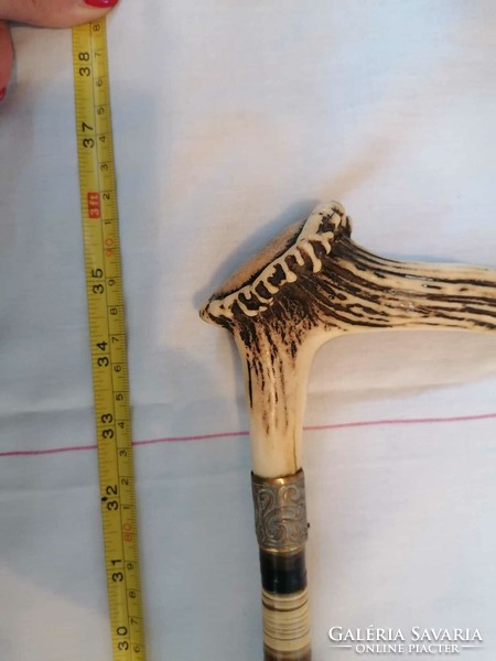 Walking stick with antler bone handle