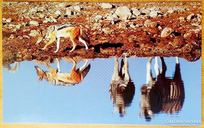 Michael Poliza képeslap gyűjtemény afrikából