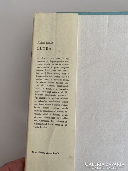 Fekete István Lutra 1963 Egy vidra regénye Móra Ferenc Könyvkiadó Budapest