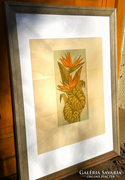 Sándor Jánosi strelicia colored linocut framed