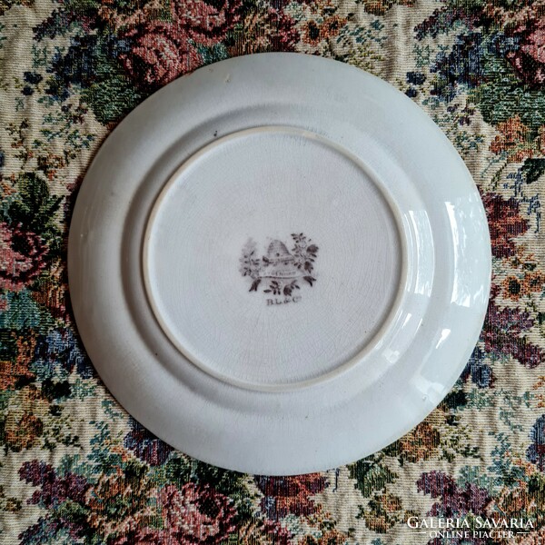 Antique English faience cake plates - burgess, leigh & co - ca.156 years old!