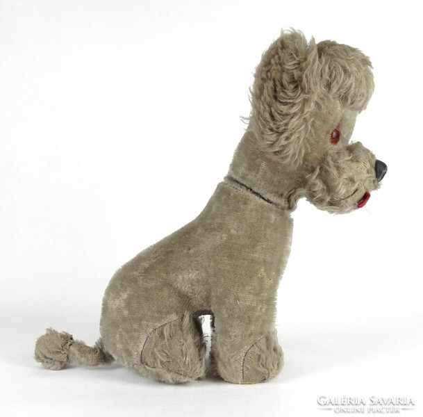 1J784 old African approx. 100 years old mocher plush gray poodle dog steif?