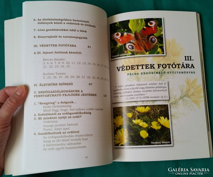 Dr. Magda Nádai: rainbow of round forests - attention guide book for children walking in the forest