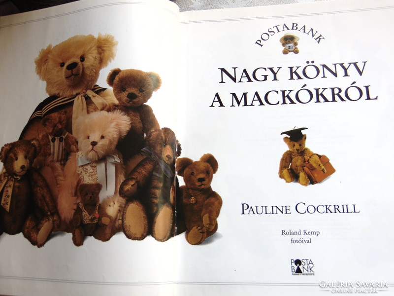 Nagy könyv a mackókról