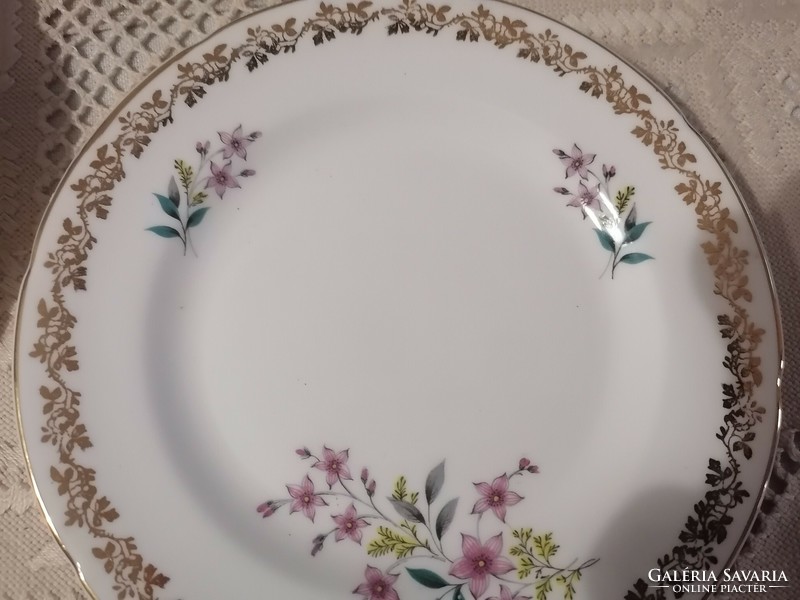 English porcelain 6 cookie plates