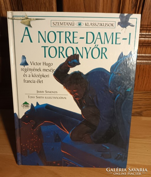 The Tower of Notre Dame - the tale of Victor Hugo's novel and medieval French life