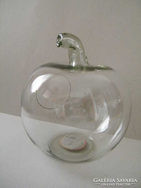 Apple-shaped glass florarium