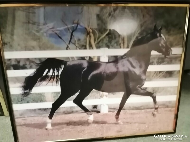 Motorcycle pictures + a horse wall picture