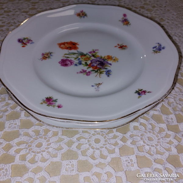 Pirken hammer beautiful flower patterned plates with gold edges