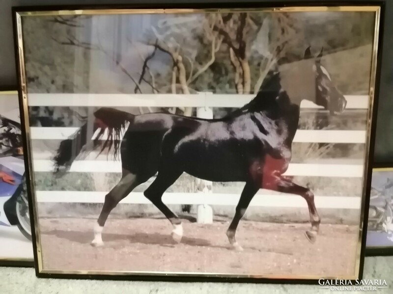Motoros képek +egy lovas falikép