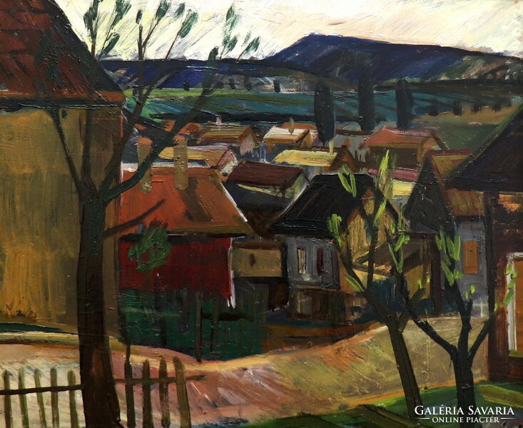 József Szamosvár: colorful houses, with guarantee