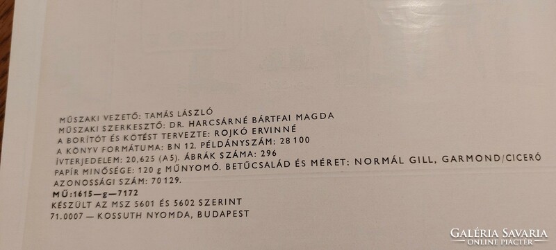 NAGYON RITKA KÖNYV ! Callmeyer-Rojkó Hétvégi házak-nyaralók 1972.- építészet, művészet,