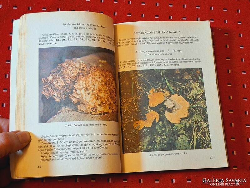 1986 First edition! Medicina-dr Lévai Judit: the mushroom is on your table