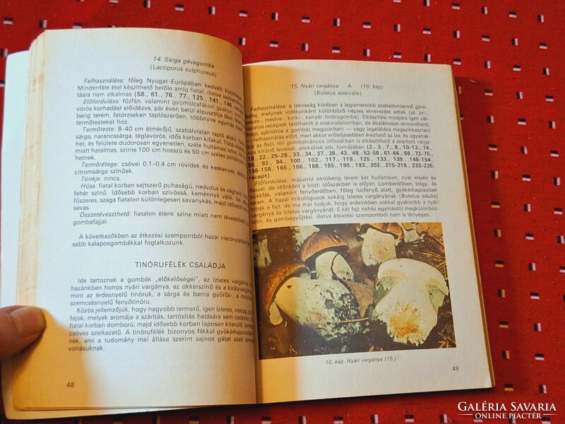 1986 First edition! Medicina-dr Lévai Judit: the mushroom is on your table