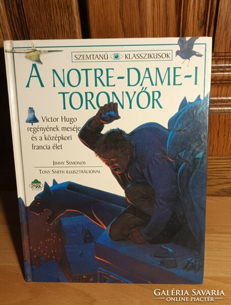 The Tower of Notre Dame - the tale of Victor Hugo's novel and medieval French life
