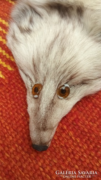 Silver fox fur. Negotiable.