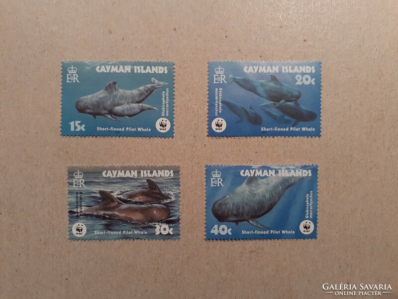 Cayman Islands fauna, wwf, cetaceans 2003