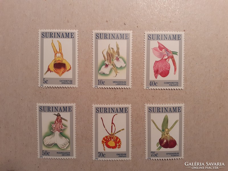 Suriname-Flóra, Orchideák 1984