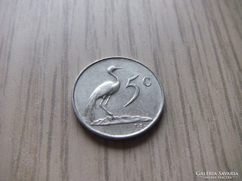 5  Cent  1981  Dél Afrika